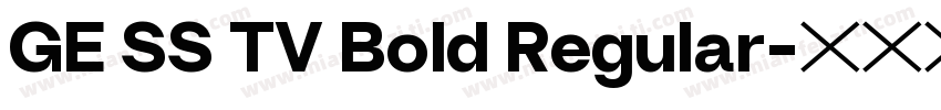 GE SS TV Bold Regular字体转换